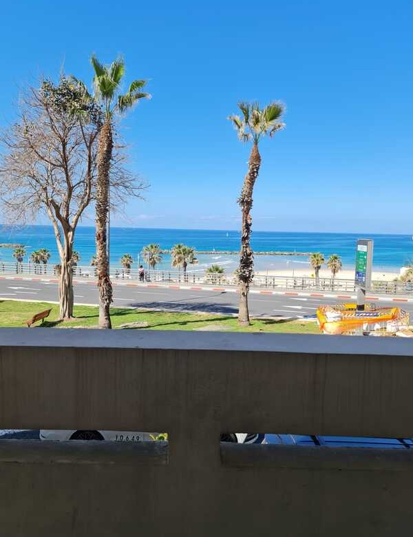 דירת 3 חדרים בחלק המבוקש של הירקון (1)